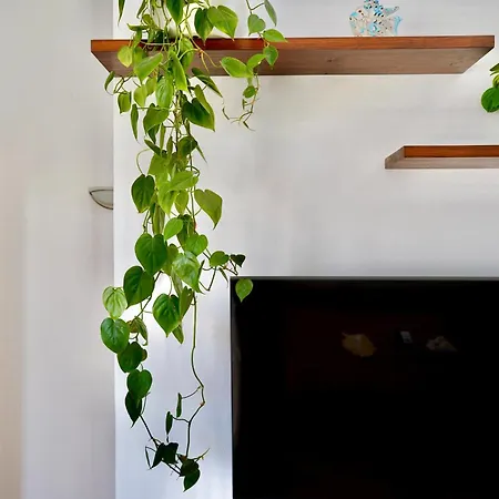Daire Casa Binimel-la By Gmhouse Menorca